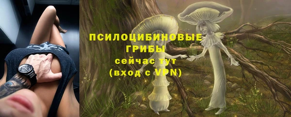 соль ск Верея