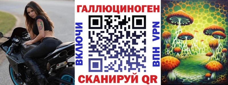 Галлюциногенные грибы Psilocybe  что такое наркотик  MEGA ссылка  даркнет формула  Улан-Удэ 
